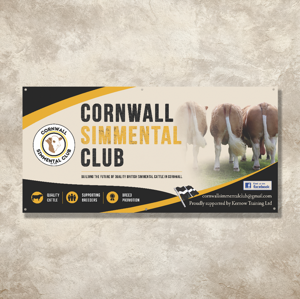 6x3ft PVC Banner
