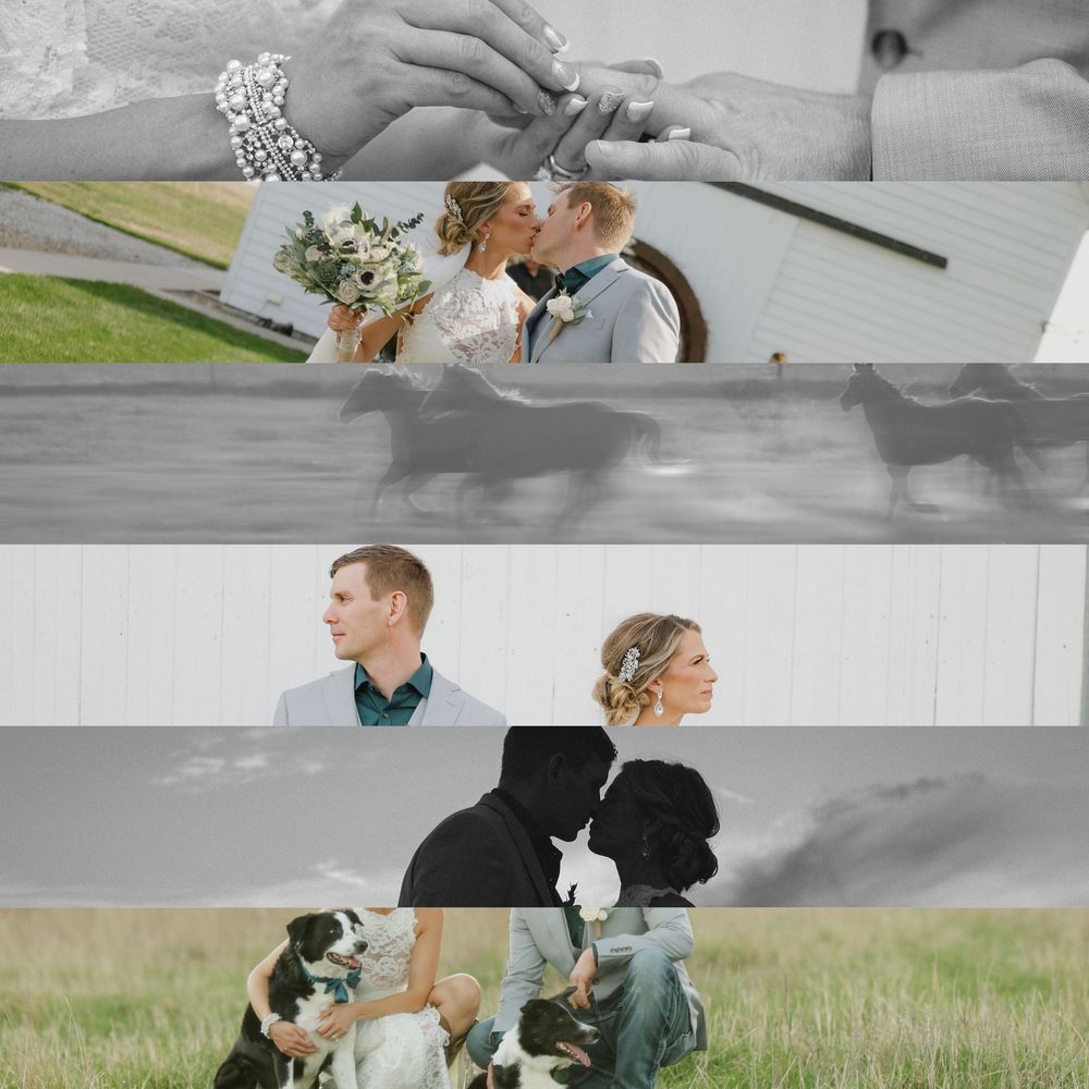 Romantic wedding collage featuring couple kissing, exchanging rings, posing outdoors, and sitting with their border collie dog.