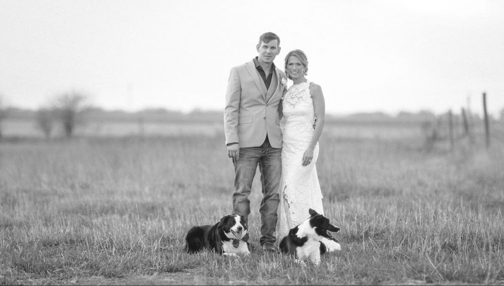 Black and white wedding photo of a couple in formal attire standing in a field with two border collie dogs.