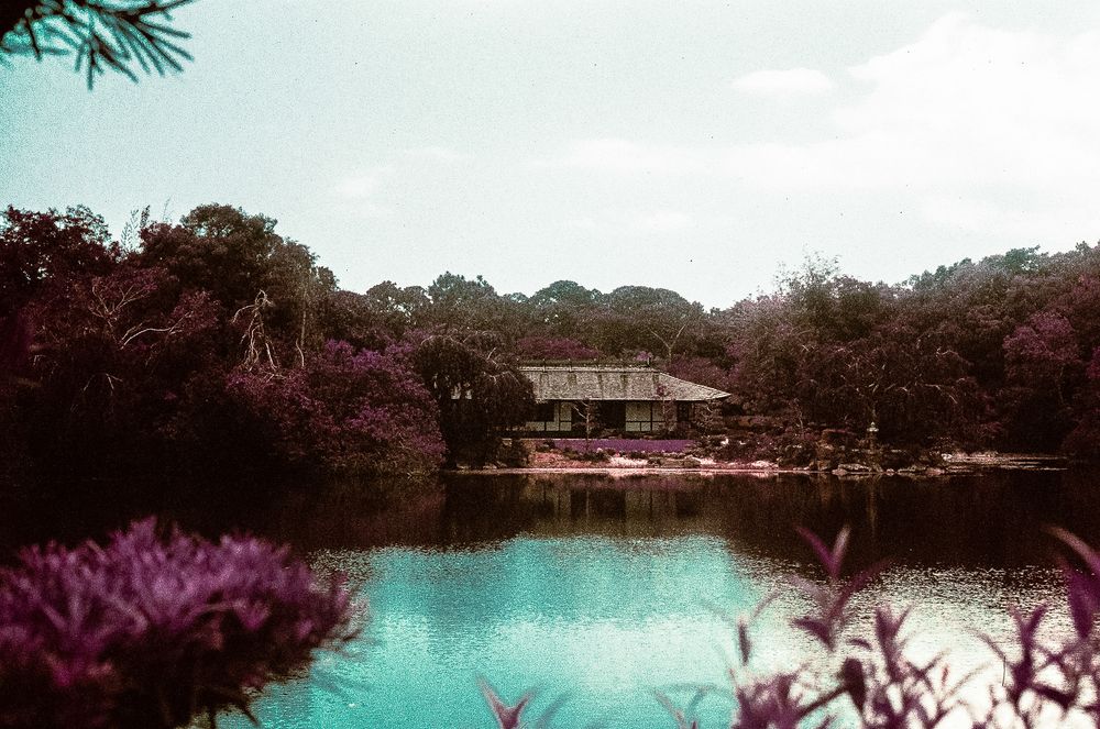 Serene lake reflecting lush tropical trees and a traditional building surrounded by colorful purple foliage under a cloudy sky.