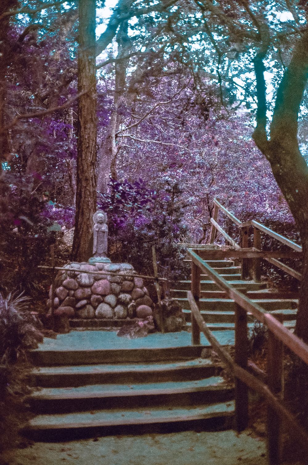 Stone steps lead through a mystical purple-hued garden with a Buddha statue, wooden railings, and flowering trees.