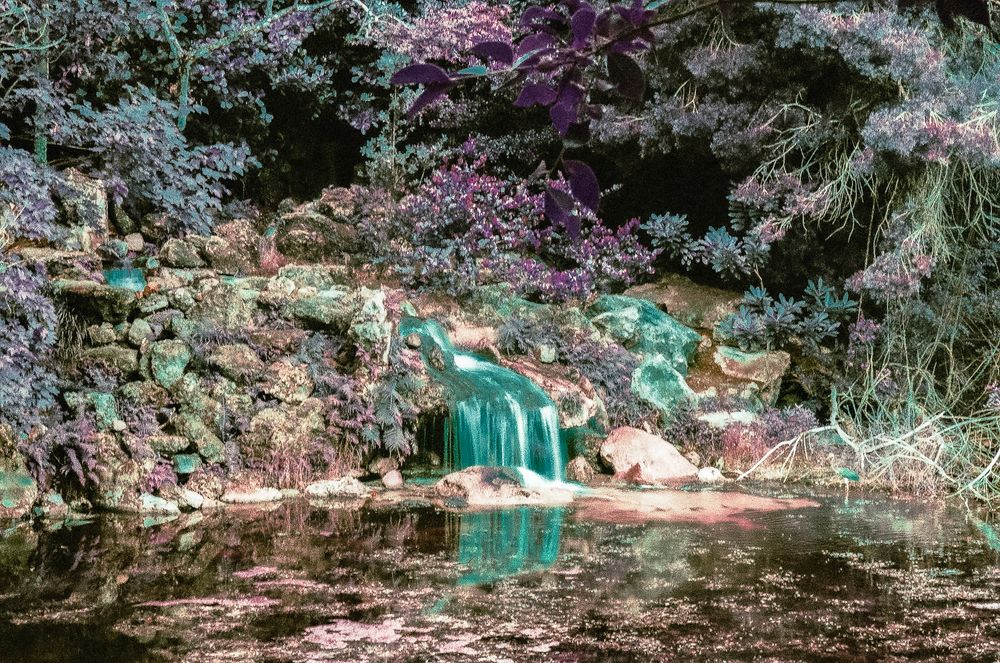 Serene garden waterfall cascading over mossy rocks into a tranquil pond surrounded by lush purple and green foliage.