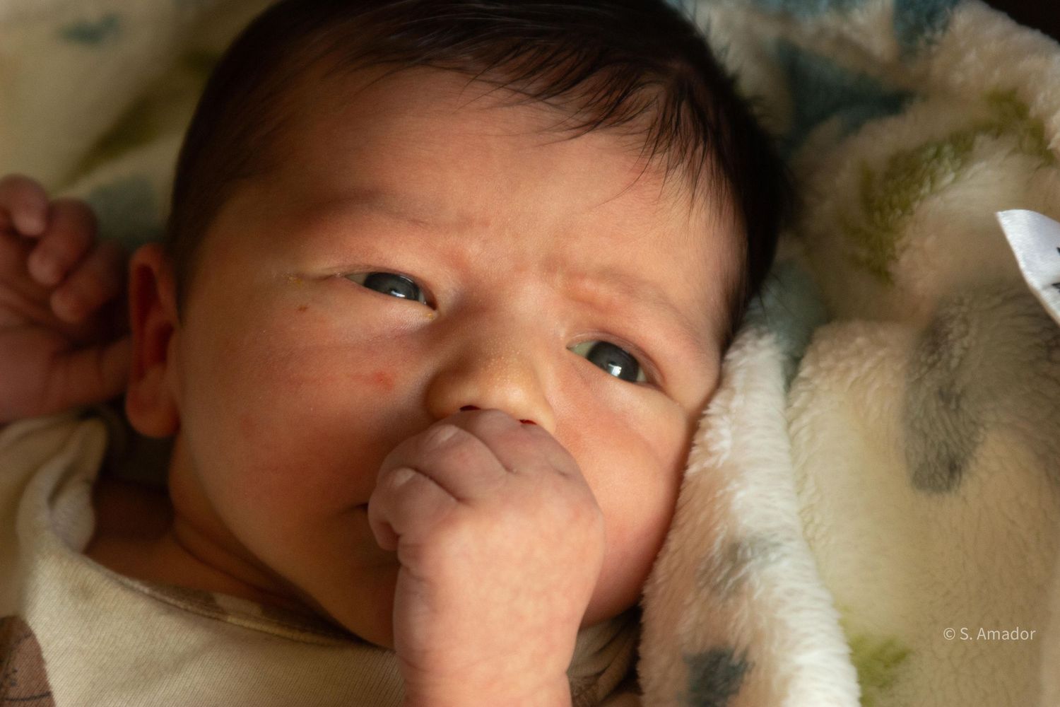 Close-up portrait of a newborn baby with hand near face, lying on a soft patterned blanket.