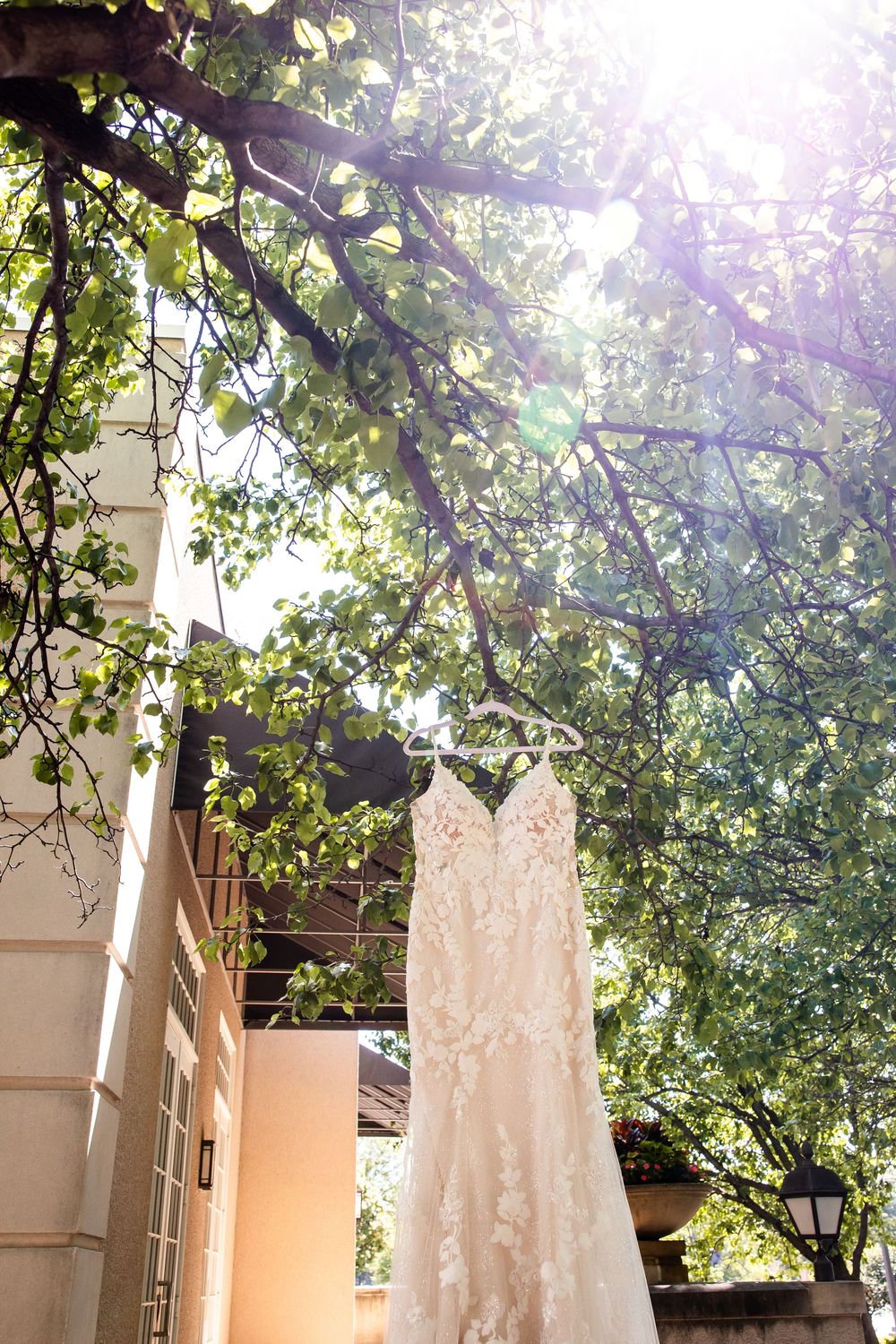 Lace wedding dress hanging from tree branch in sunlight outside a building with green leaves above.