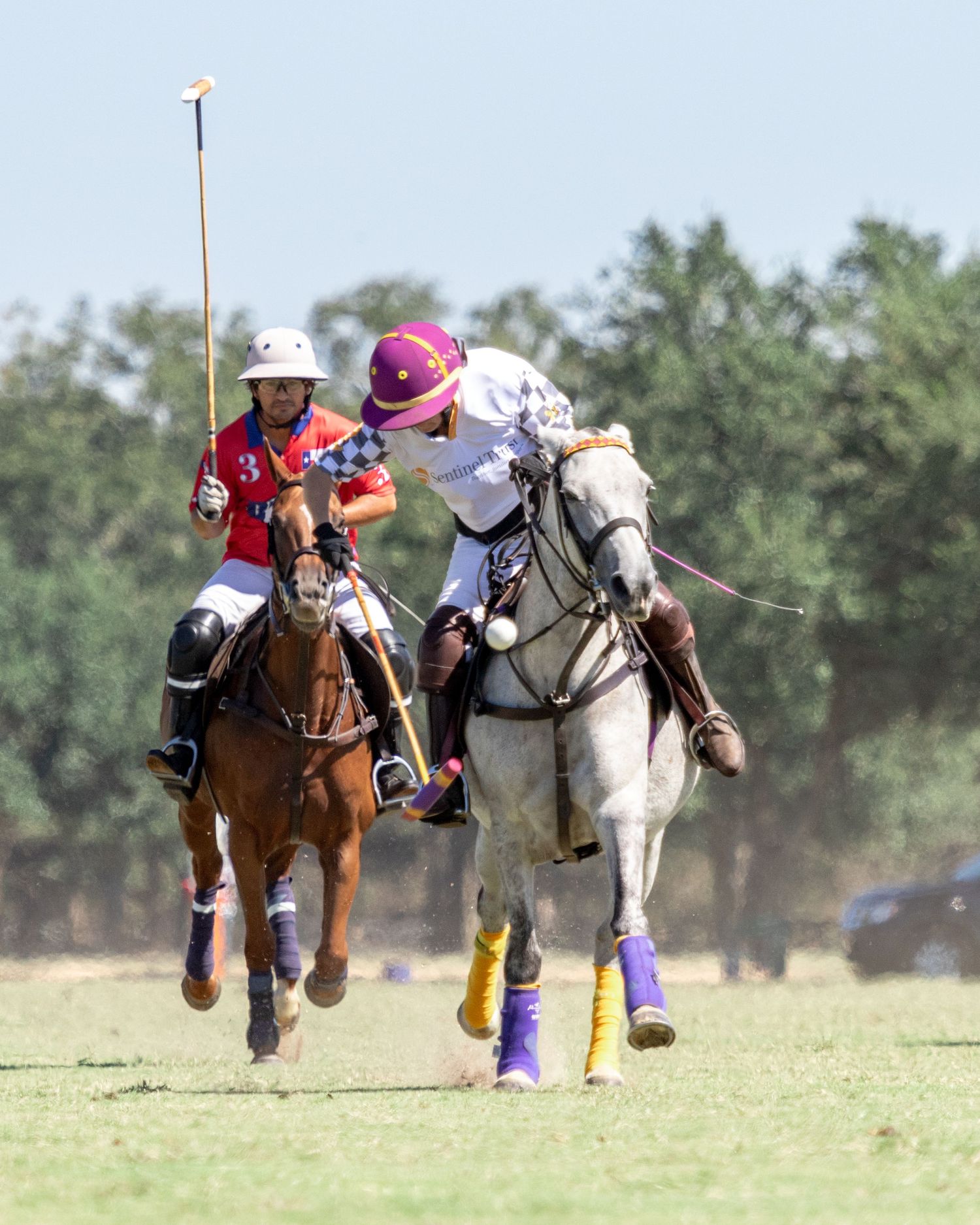 Polo