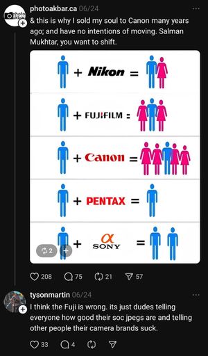 A humorous meme showing how different camera brands like Nikon, Canon, Pentax and Sony correlate to dating and relationship outcomes.