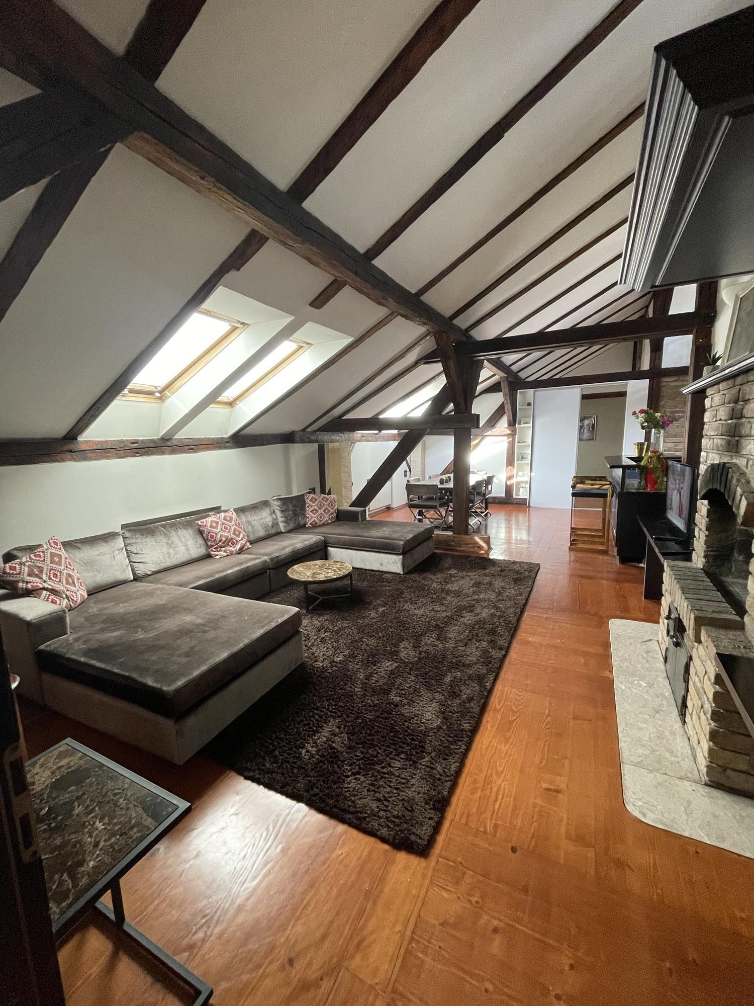 Modern attic loft space with dark carpet, hardwood floors, and skylights creating a bright, open living area.