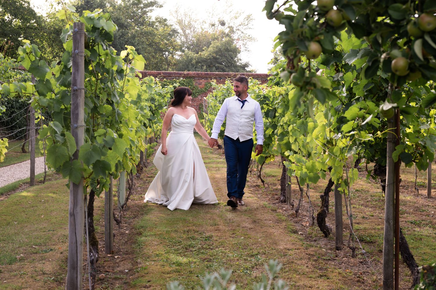 A couple walks hand in hand through lush green vineyard rows on a sunny afternoon.