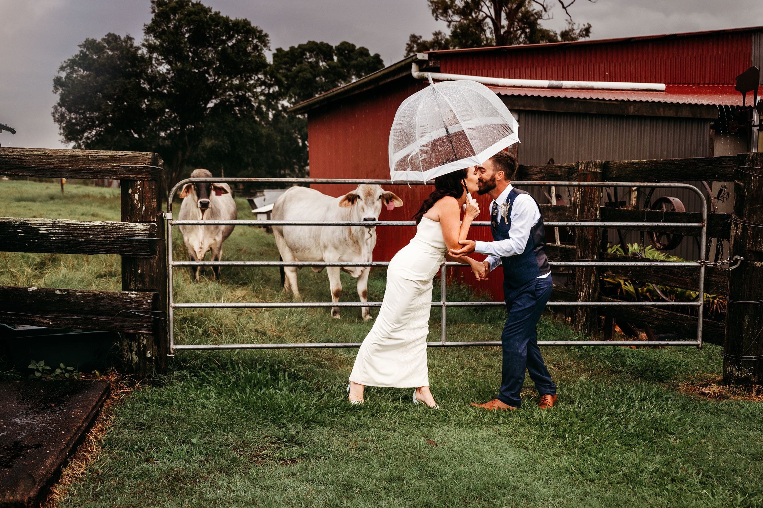 A couple shares an intimate moment by a fence with horses watching in the background.