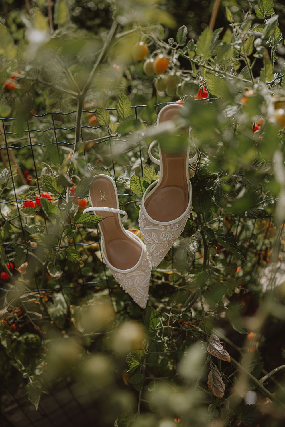 Wedding shoes placed artistically among green foliage and red tomatoes