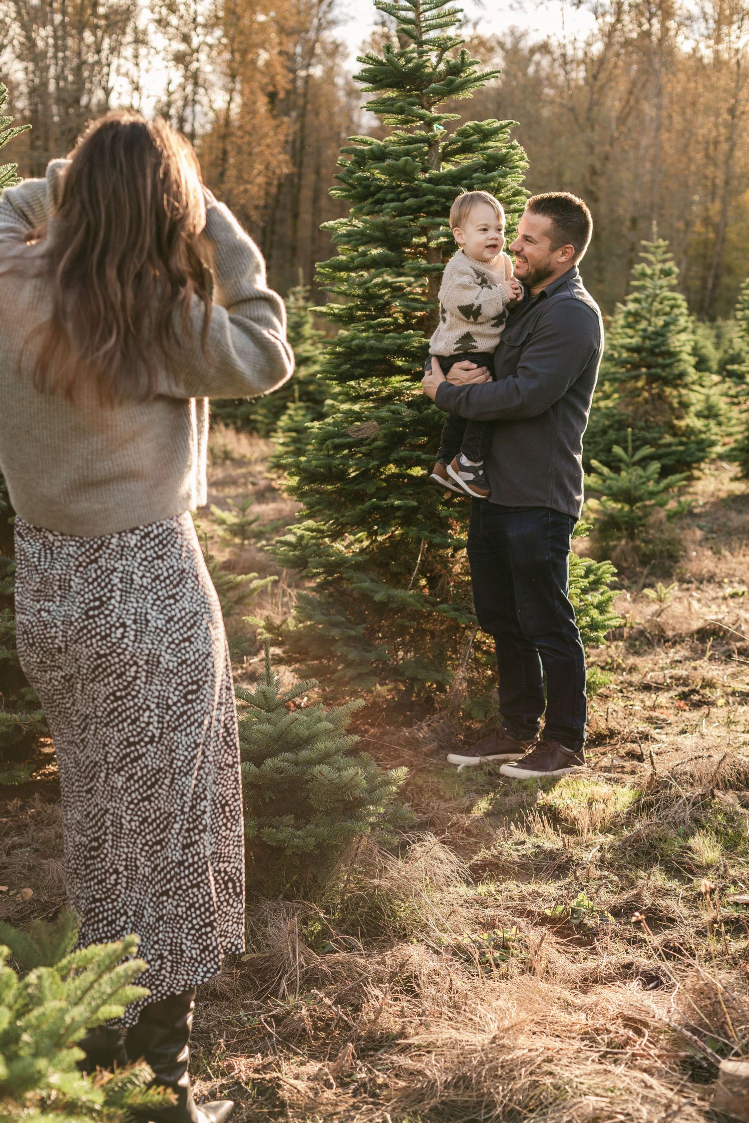 A romantic proposal moment captured in a Christmas tree farm during golden hour as couple embraces among evergreen trees.