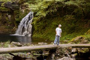 A scenic waterfall cascades down moss-covered rocks in a lush green forest setting.
