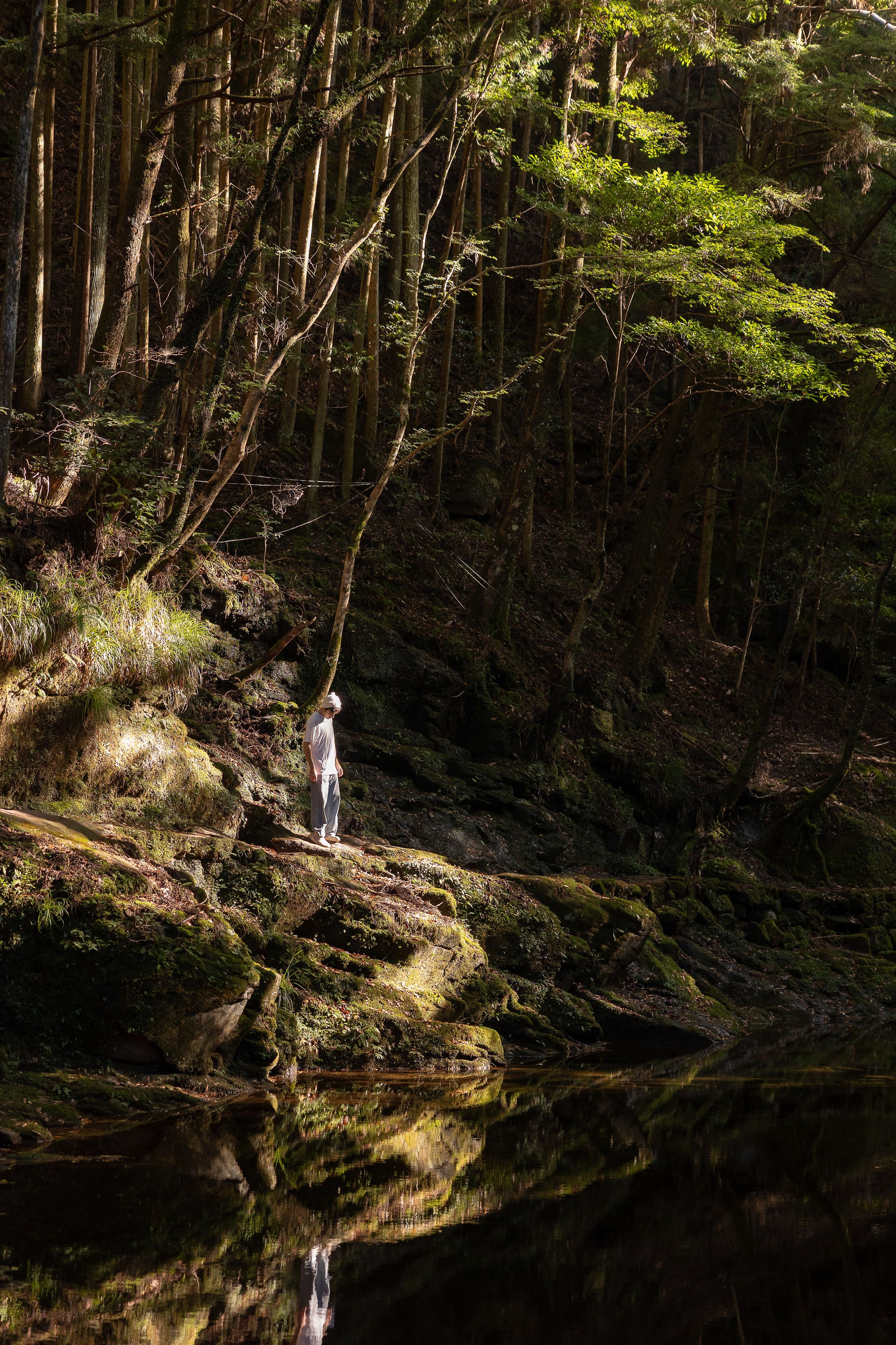 A person stands on a forest trail beside a calm reflective lake surrounded by dense evergreen trees.