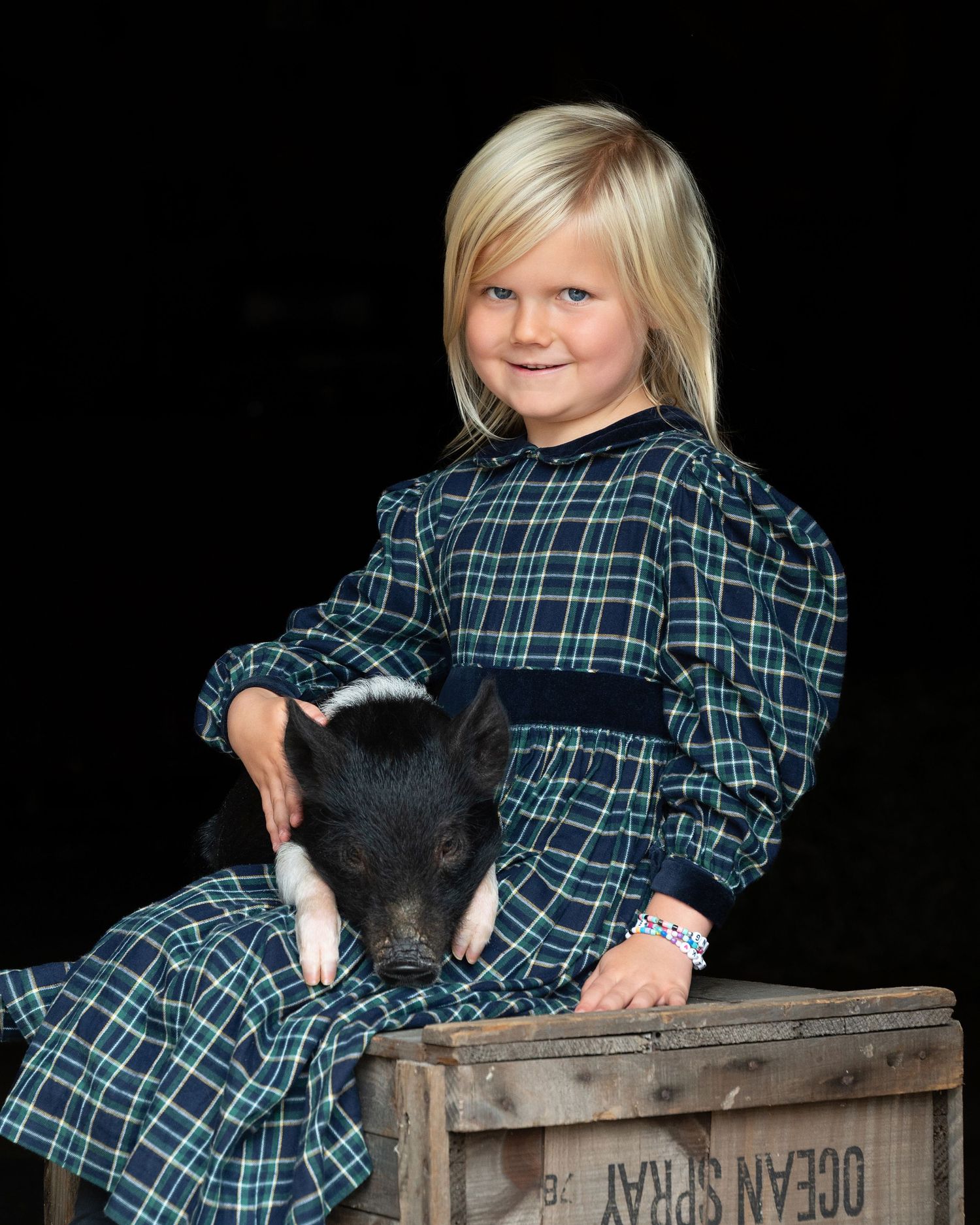 A young child in a green dress stands next to a gentle donkey in a series of progressive shots.