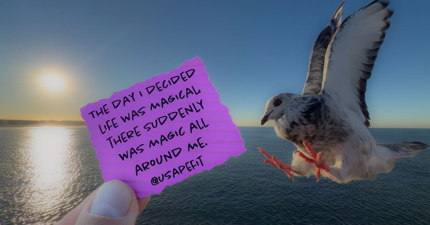 A seagull soars gracefully over calm ocean waters at sunset with purple tinted clouds in the background.