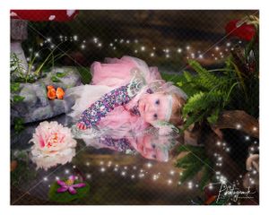 Little Fairy Laying Down, Reflection In A Mirror Pool. Fairy Photo Shoot The Enchanted Forest Photogemik Studio Bradford