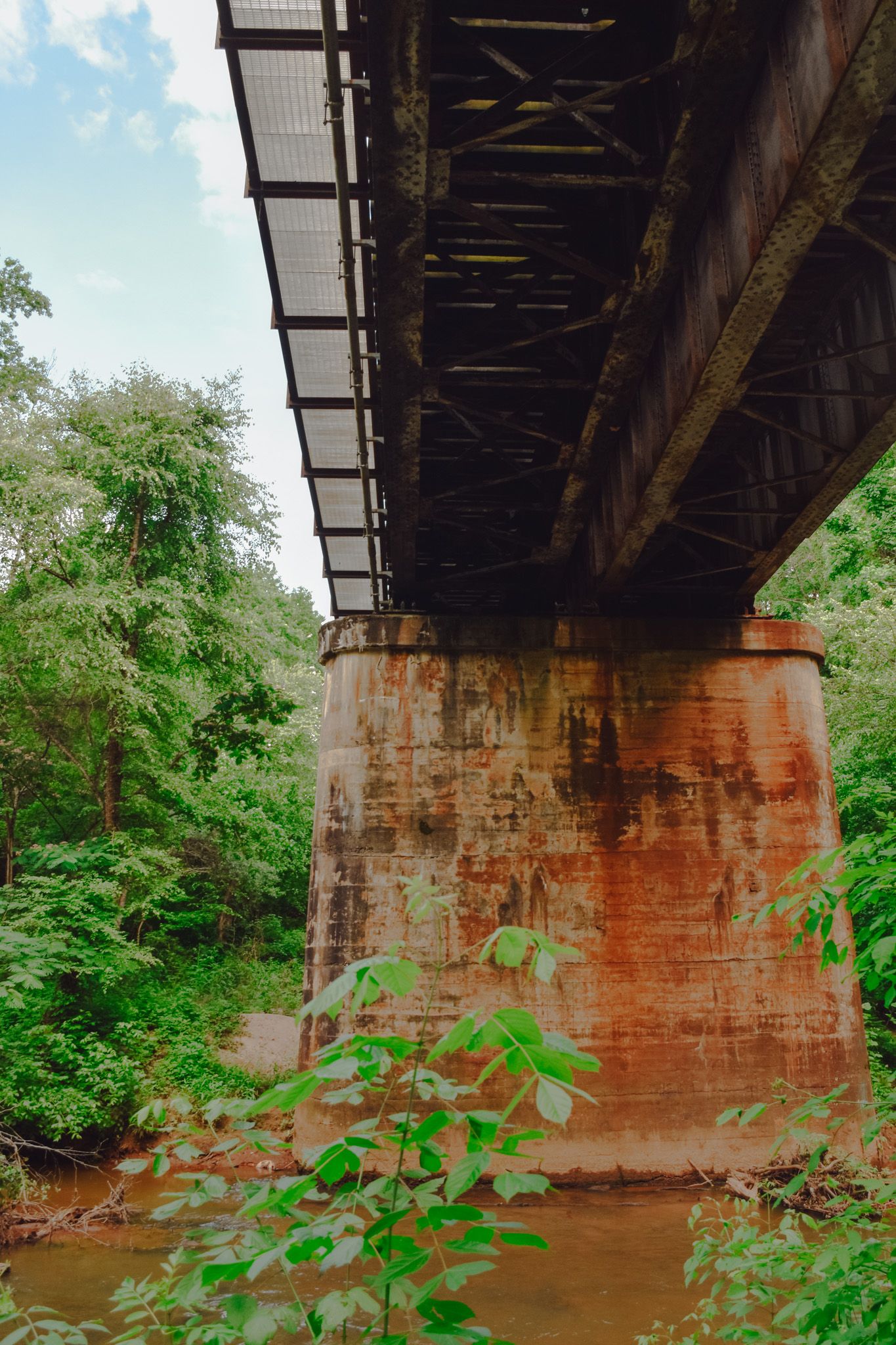 Rusty bridge support pillar over muddy water surrounded by green vegetation.