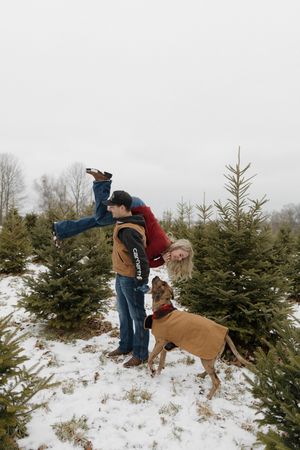 A person and their dog search through snow-covered evergreen trees at a Christmas tree farm.