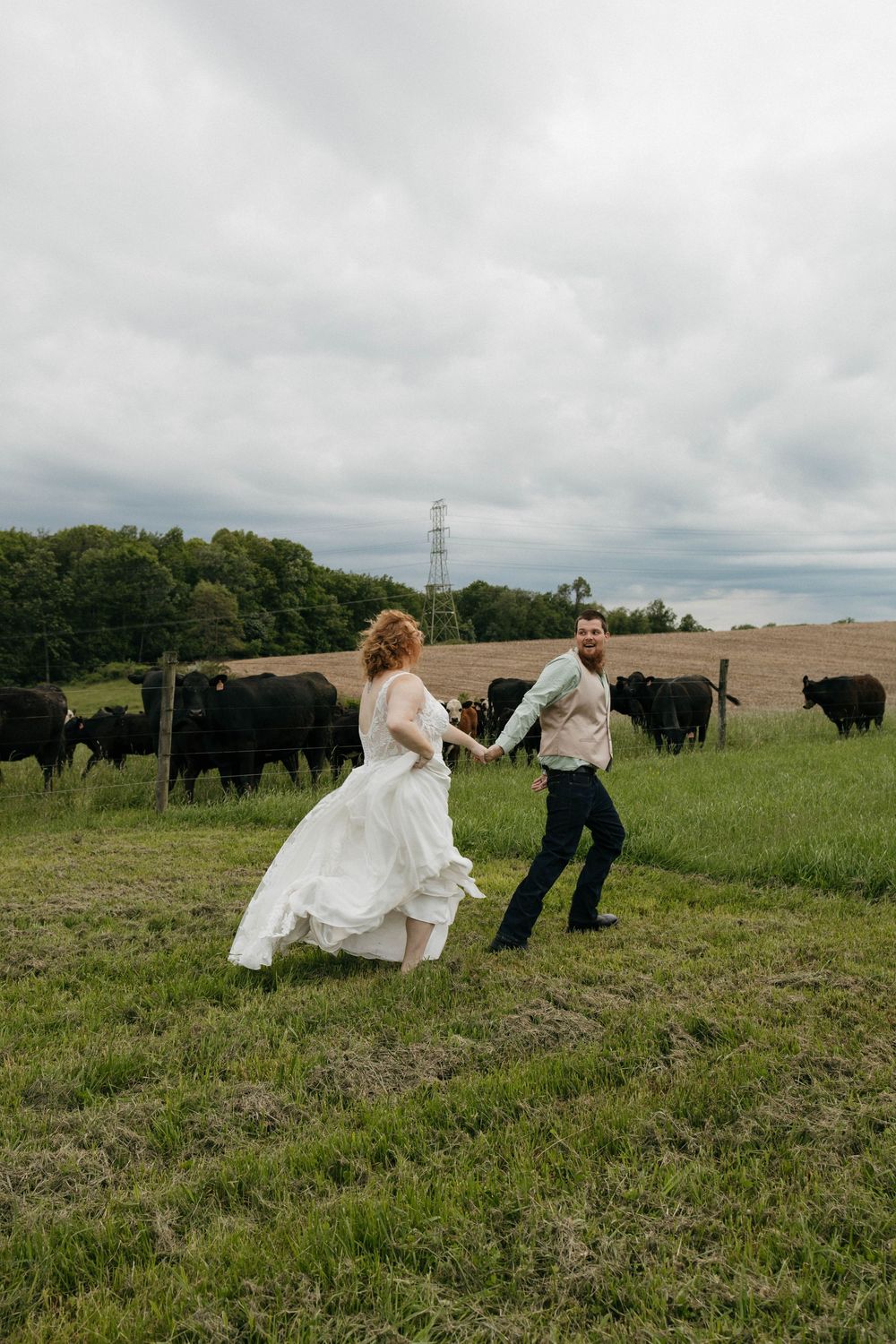 A bride and groom hold hands running through a green field with black cattle grazing behind them on a cloudy day.