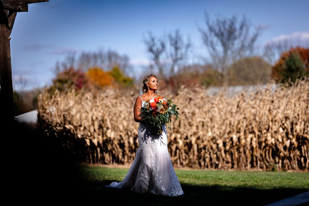 Scenic view of a cornfield with blue sky on a wedding day.