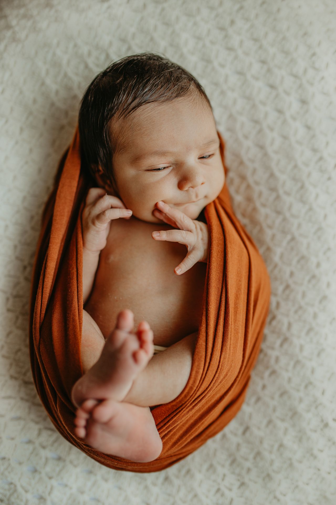 A newborn baby wrapped in burnt orange fabric shown in five artistic poses against a white textured backdrop.