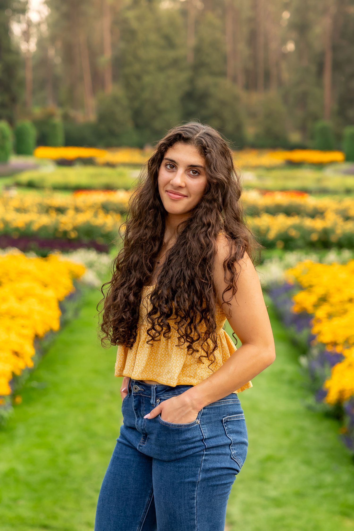 A field of vibrant yellow marigold flowers creates a colorful backdrop in a garden setting.