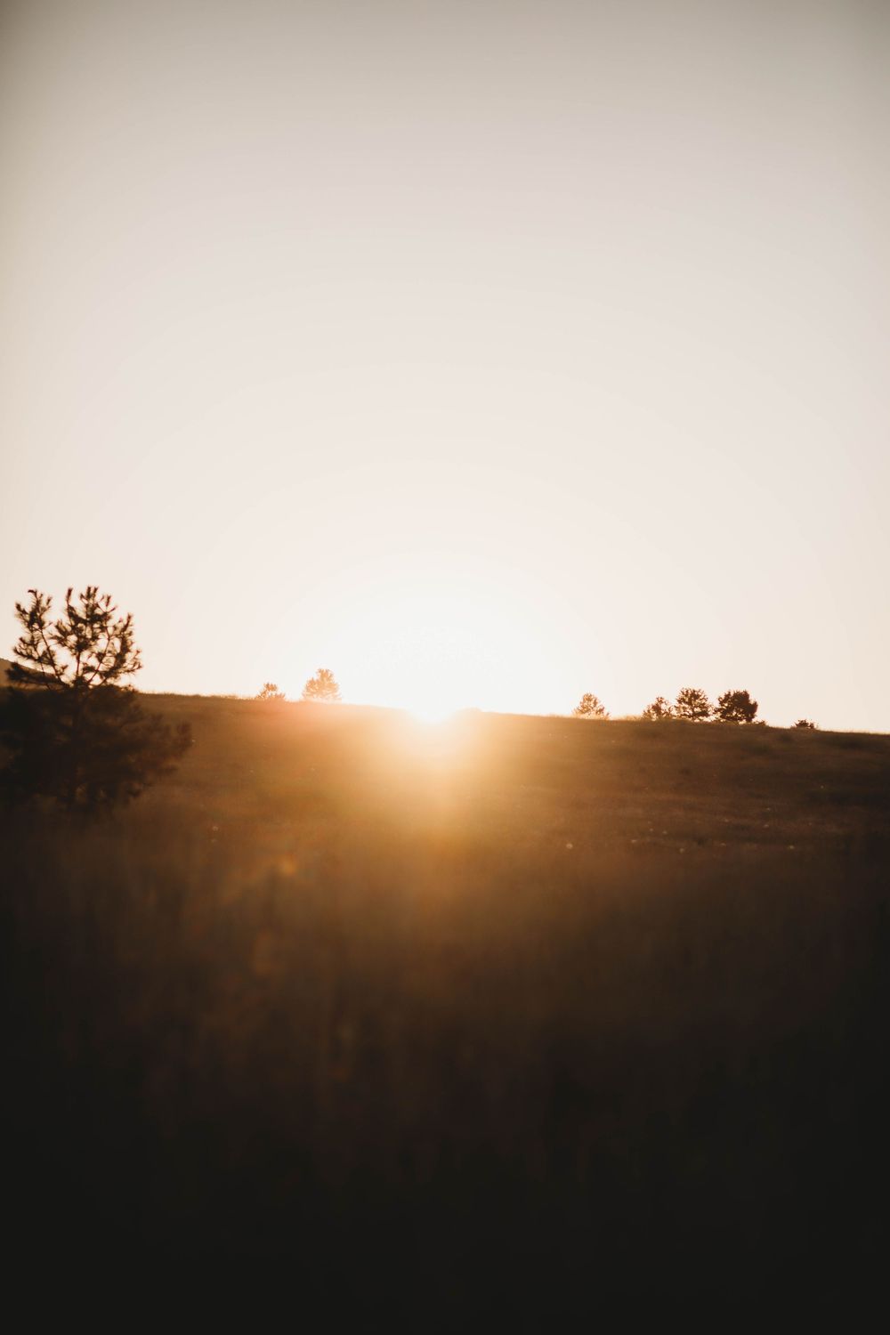 Golden sunset over rolling hills with silhouetted trees against a warm sky.