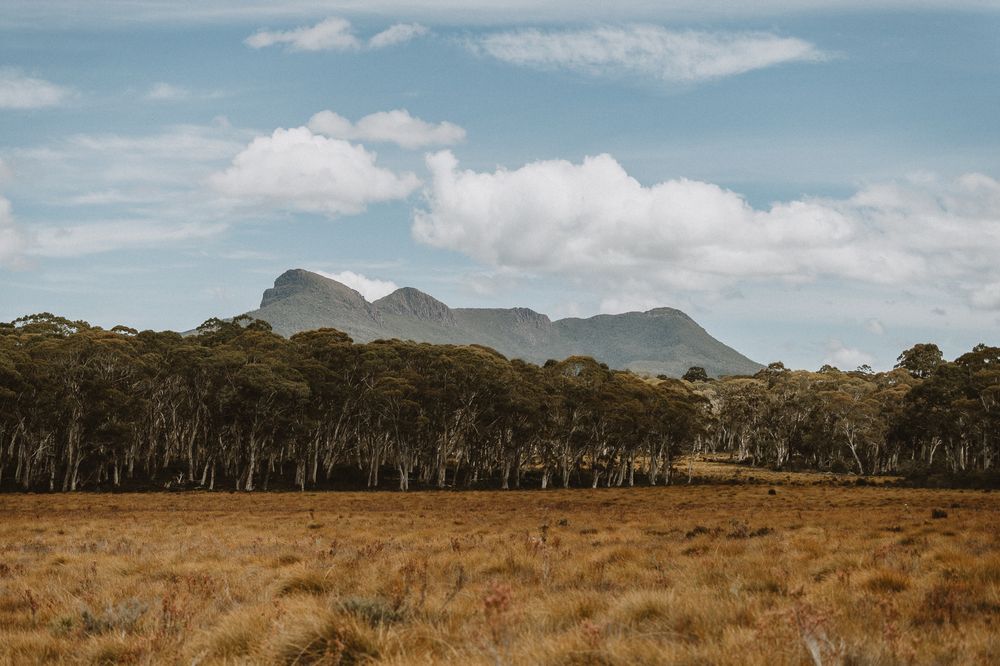 mountains at lake st clair, cradle mountain national park by joss jensen photography