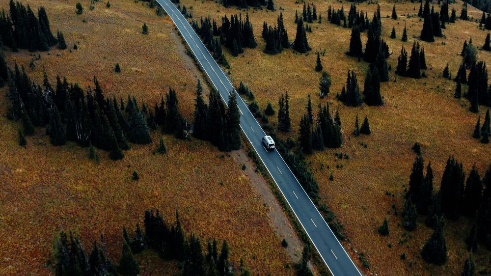 Winding mountain road cutting through evergreen forest and golden hills in panoramic view.