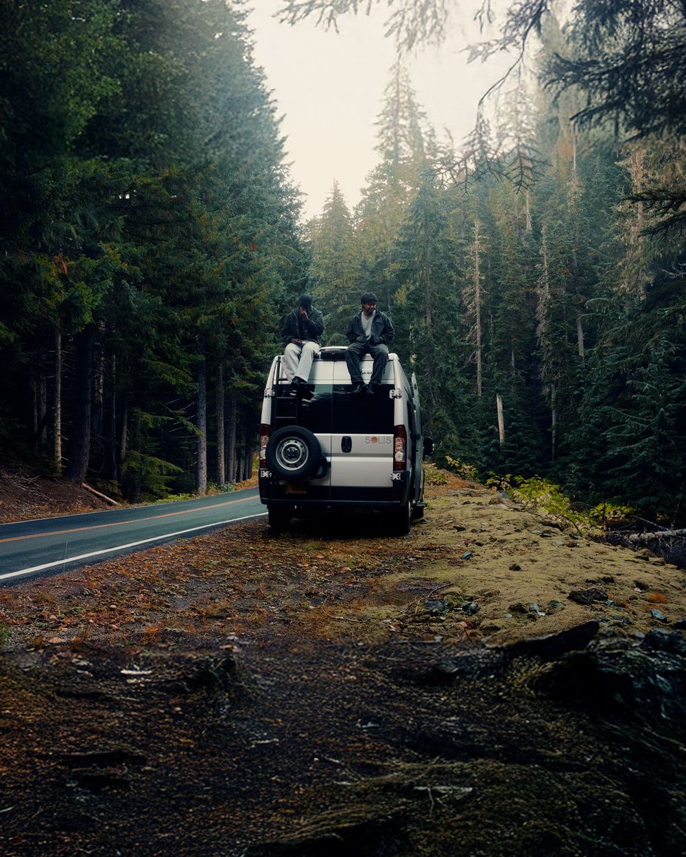 Forest clearing with parked vehicles surrounded by tall evergreen trees on a misty day.