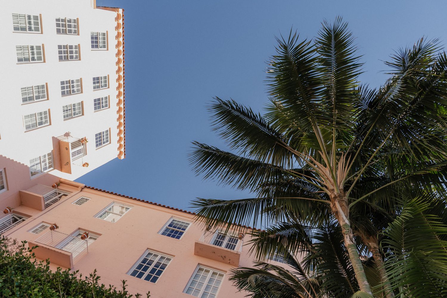 Palm tree sways against a pink and white art deco hotel building under bright blue sky in Miami Beach.