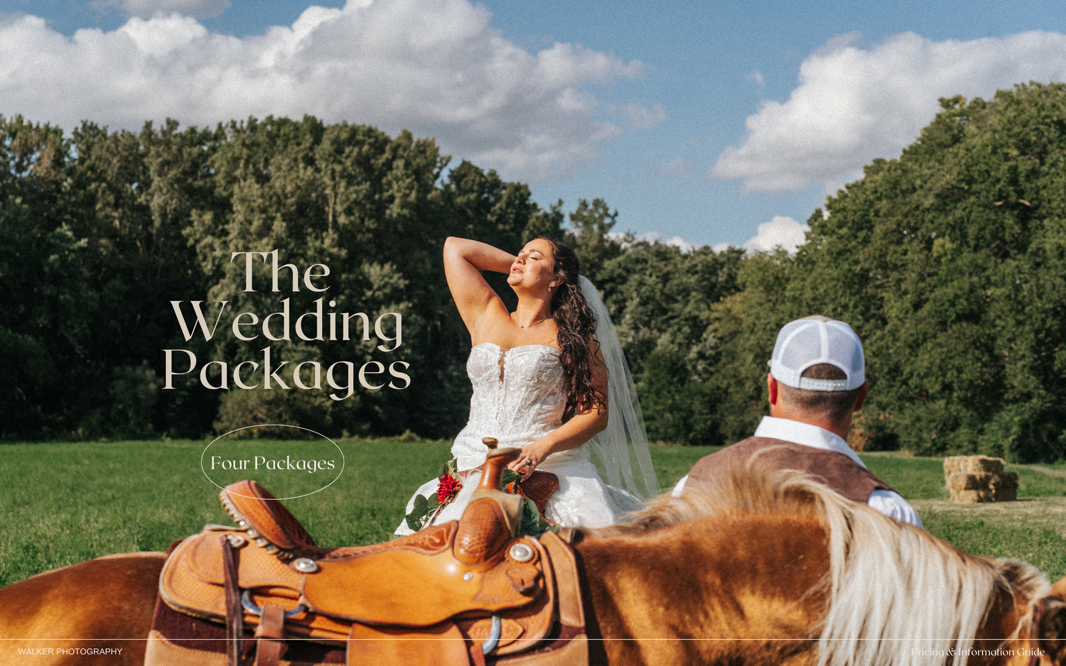 Stunning countryside equestrian photoshoot with horses grazing in a lush green field under blue summer skies.
