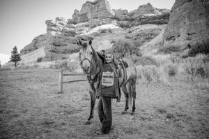 A horse stands against a dramatic rocky backdrop in black and white while being led by its handler.