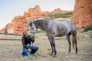 A gray horse stands in front of red rock formations in a scenic western landscape.