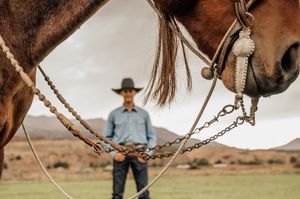 Close-up details of horse tack and roping equipment in western ranch setting.