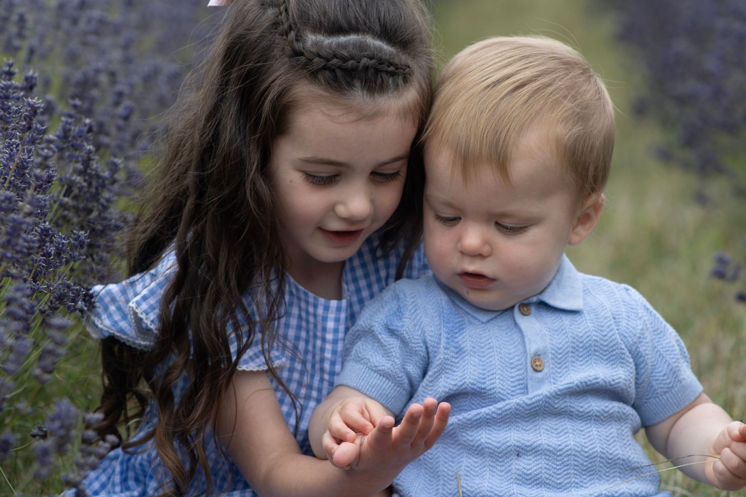 Siblings playing together in Cotswolds lavender fields
