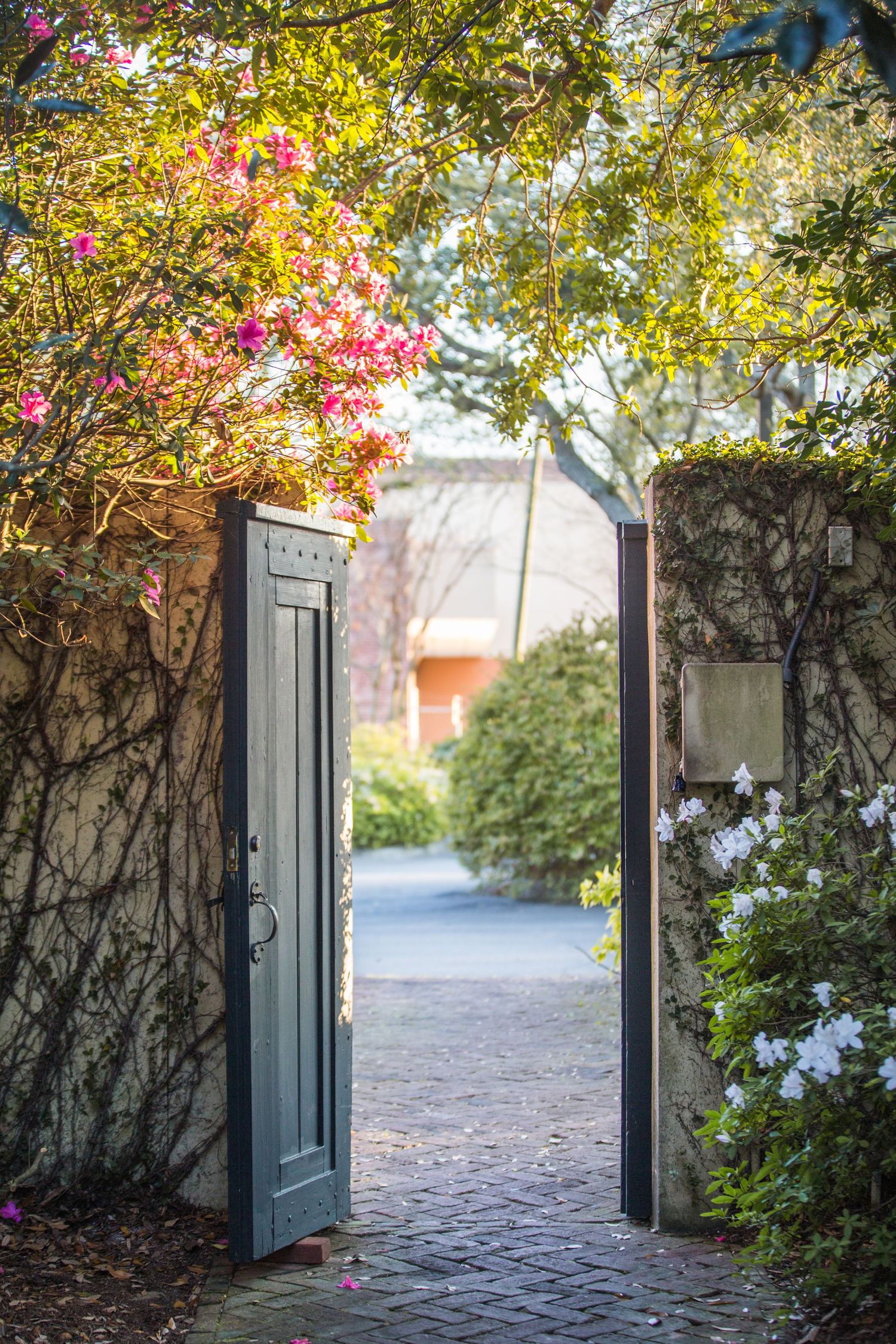 Stone pathway leads through an open garden gate with vibrant autumn foliage and climbing vines on the walls.