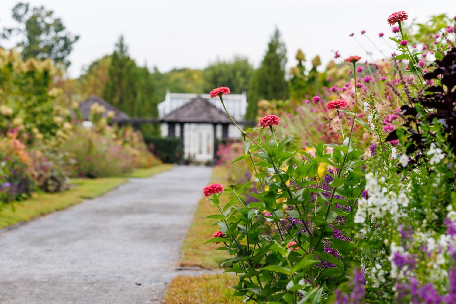 Beautiful garden path lined with colorful flowers leading to a cottage.