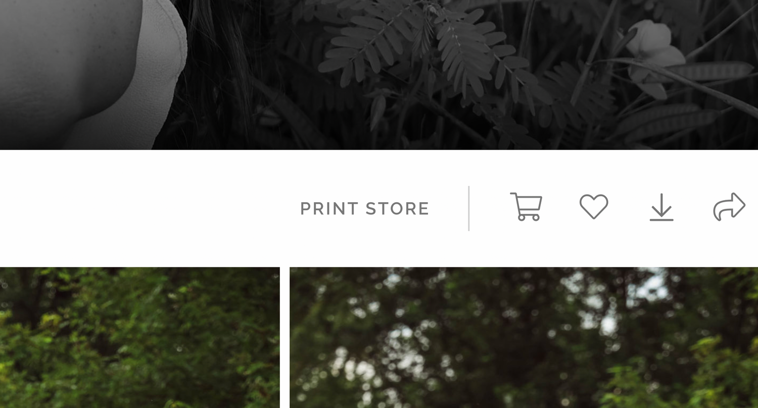 Print store ecommerce website interface showing photo gallery grid layout.