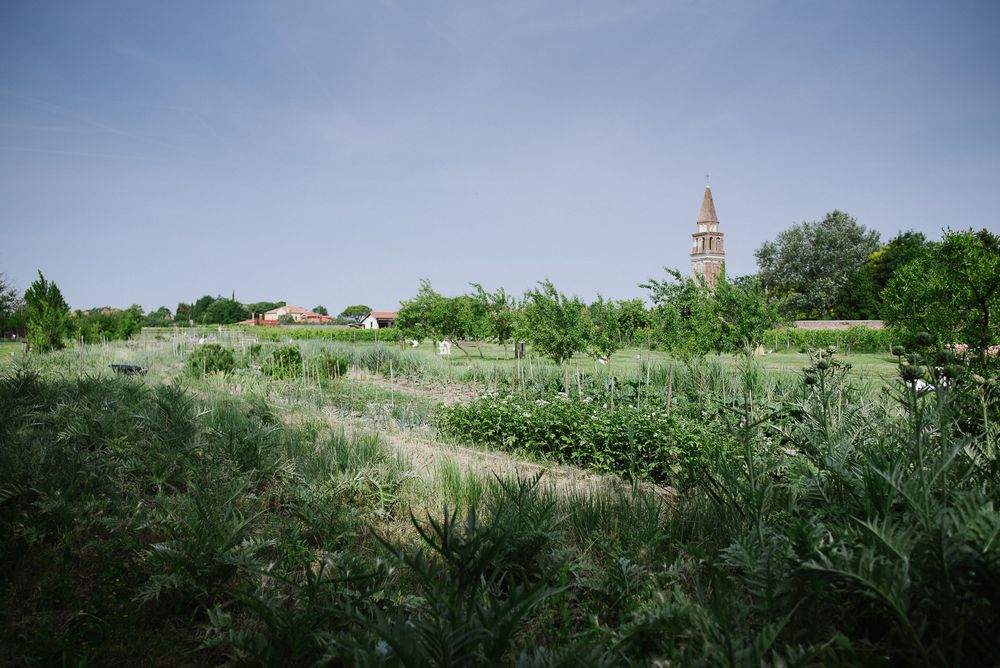 Tall church tower rises above wild green vegetation in a rural landscape.
