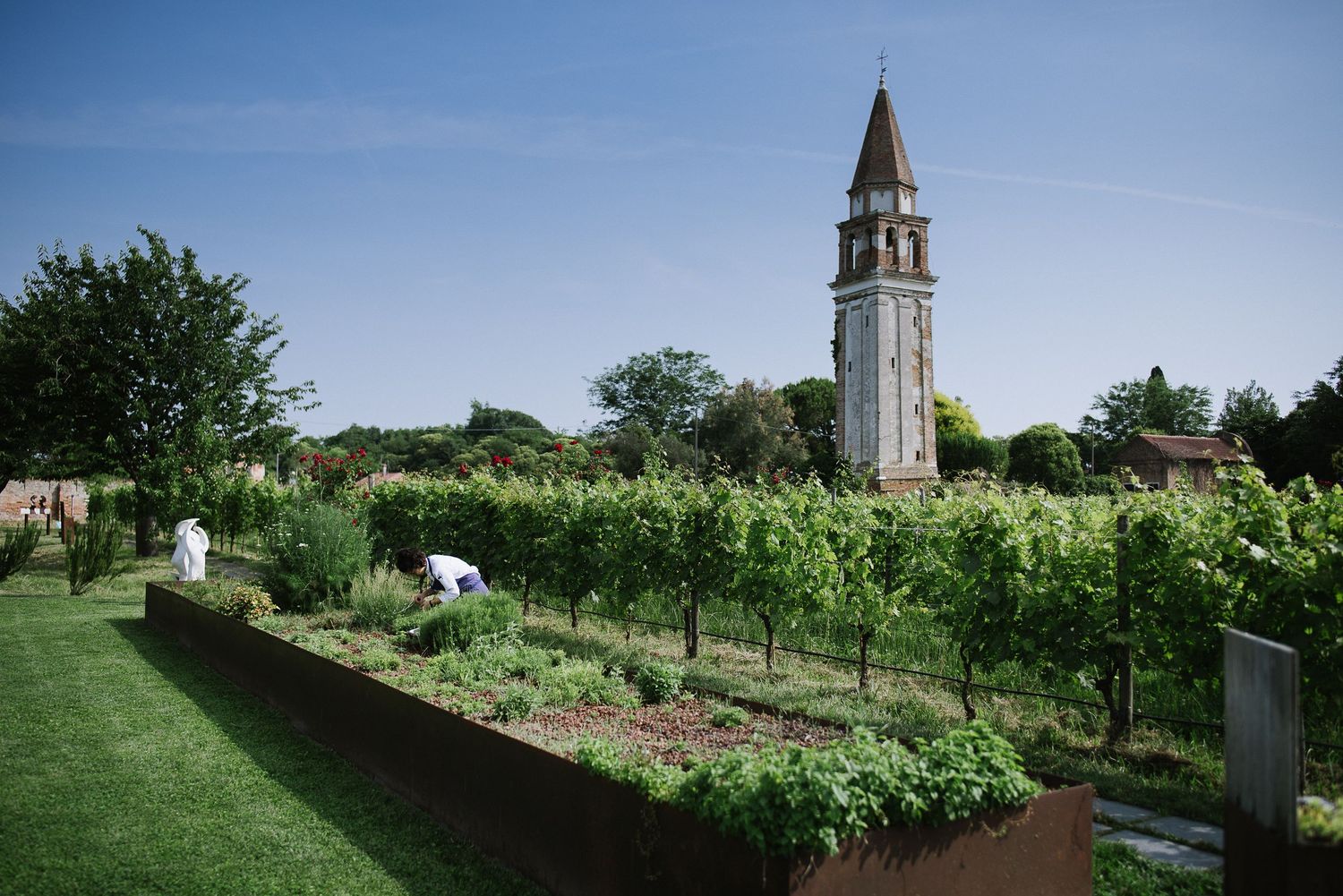 Church bell tower stands tall among manicured garden rows and green vegetation.
