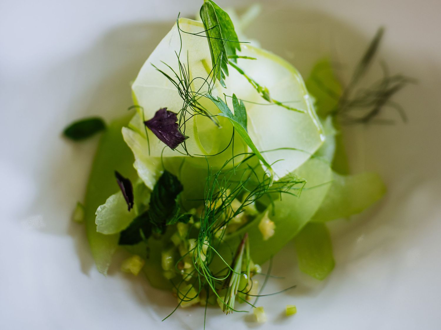 Fresh green herbs and microgreens arranged on white surface.
