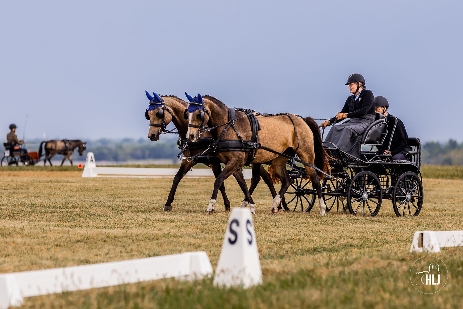 Horses pulling a vintage carriage across a pastoral countryside setting with white markers along the path.