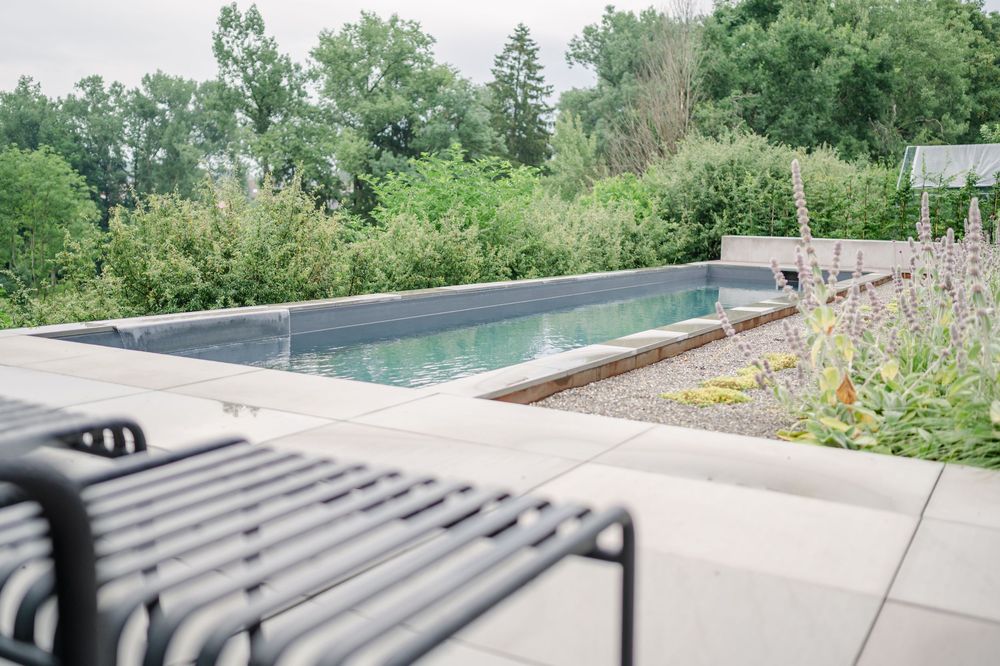 Moderner Sportpool, umgeben von einer Terrasse aus Beton und einer üppigen Gartenlandschaft in einer ruhigen Hinterhofumgebung.