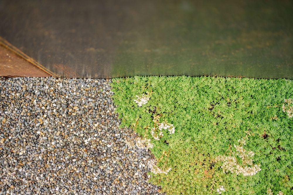 Panoramablick auf Kies, der entlang einer geschwungenen Kante in einem Garten oder einer Landschaftsanlage auf grünes Gras trifft.