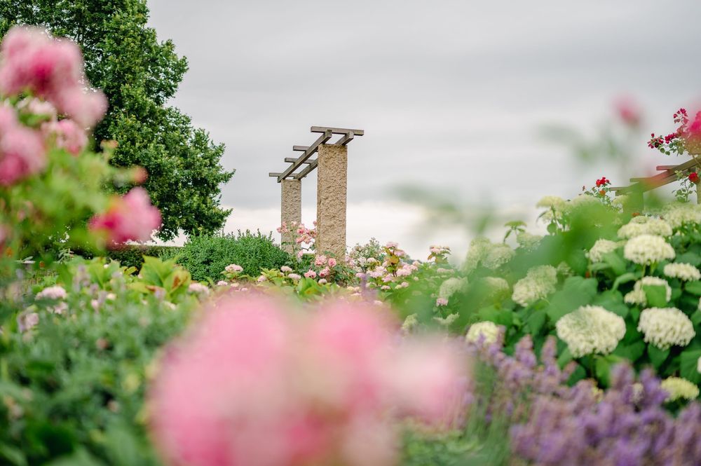 Gartenlandschaft mit rosa und violetten Blumen vor einer Steinmauer.