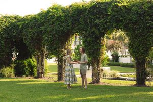 A panoramic view shows a tranquil garden with green trees and hedges casting shadows in the soft sunlight.