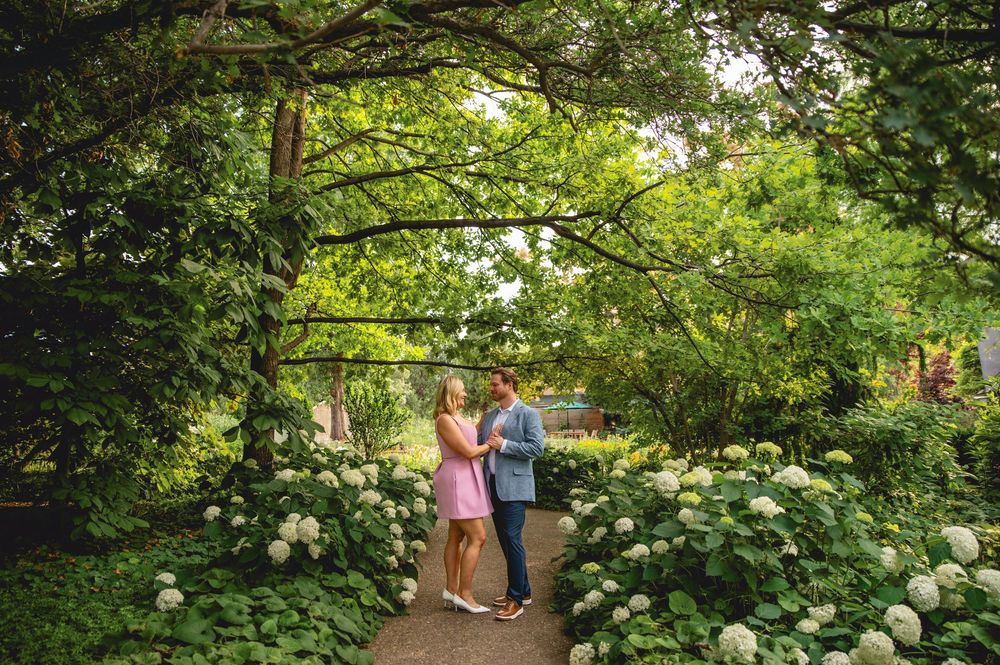 A lush green garden path surrounded by blooming hydrangea bushes guides visitors through a peaceful natural setting.