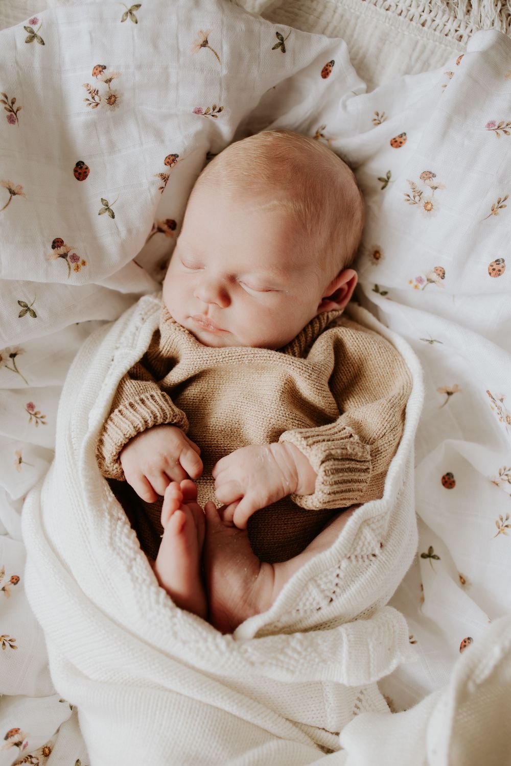 Inverell at home newborn session
