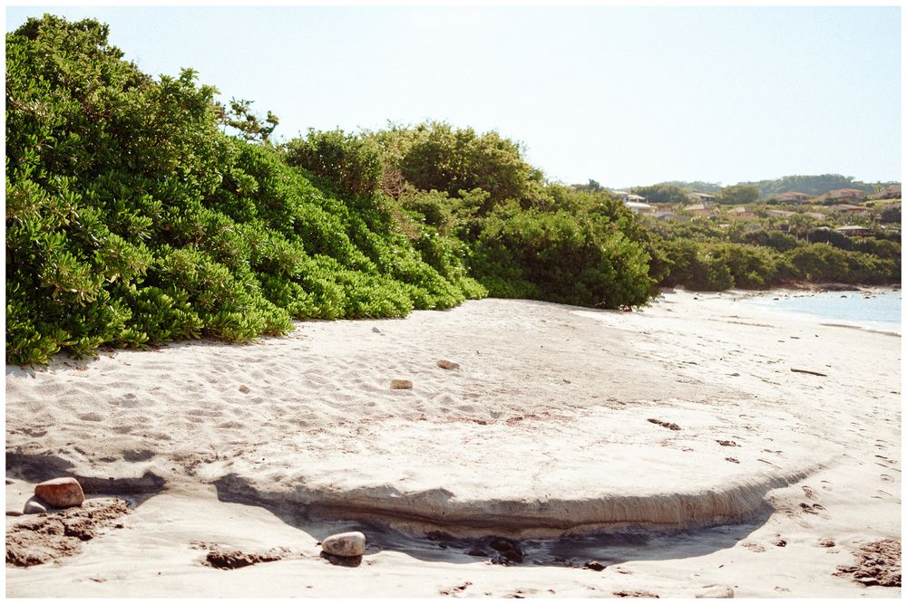 A scenic coastal trail through sand dunes and lush greenery leads to a serene Hawaiian beach at the end of the path.